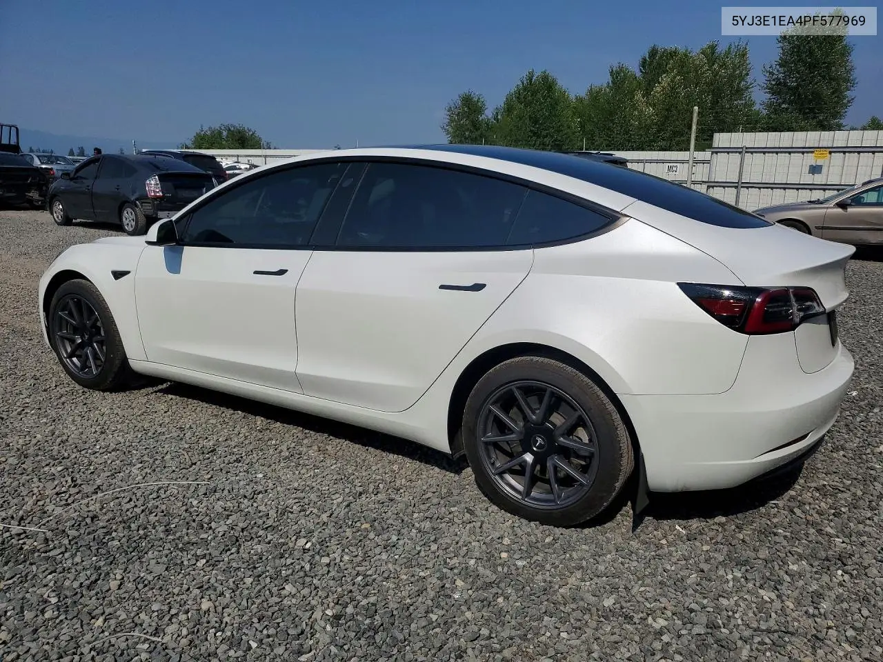 2023 Tesla Model 3 VIN: 5YJ3E1EA4PF577969 Lot: 62118016