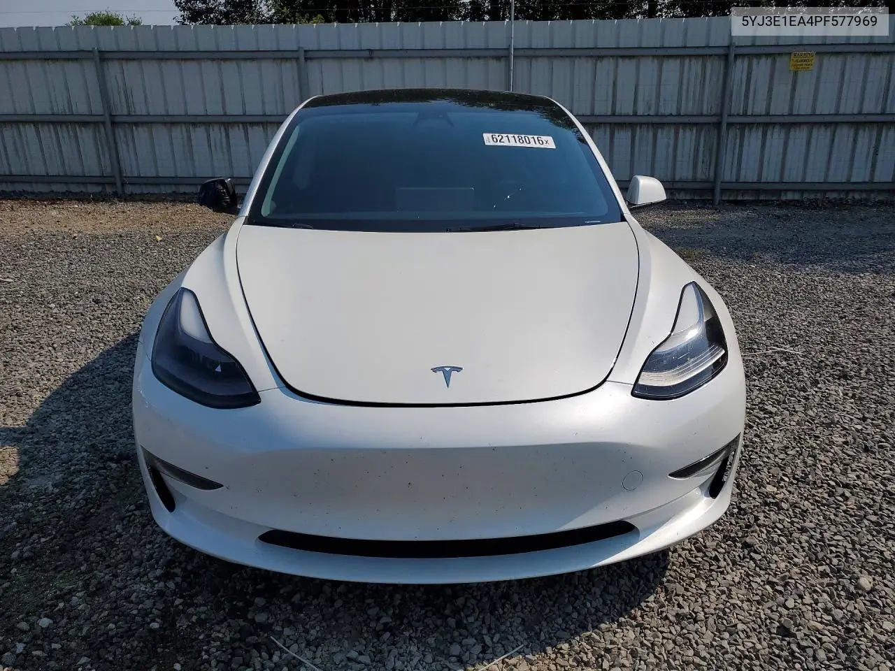 2023 Tesla Model 3 VIN: 5YJ3E1EA4PF577969 Lot: 62118016