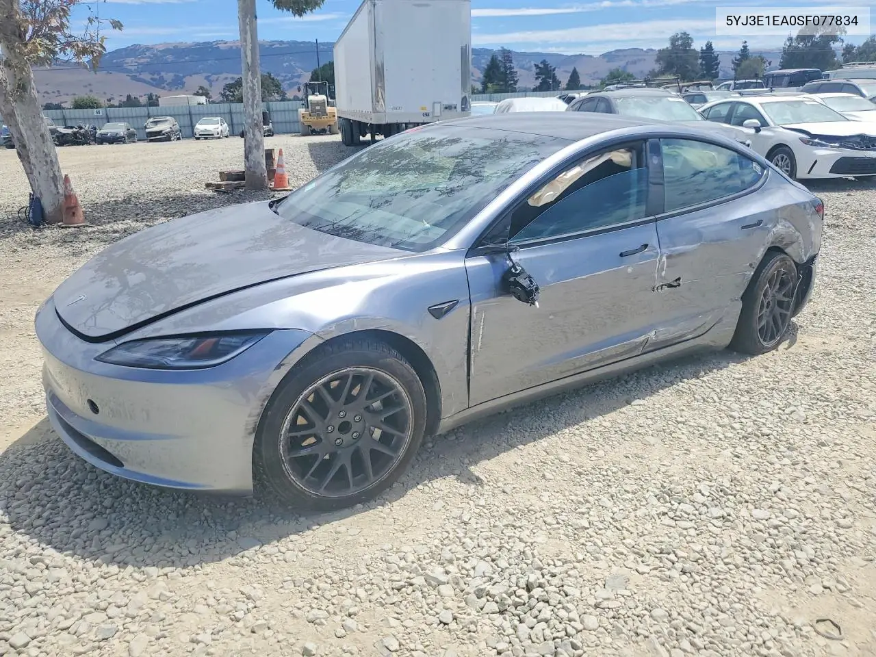 2025 Tesla Model 3 VIN: 5YJ3E1EA0SF077834 Lot: 61446086