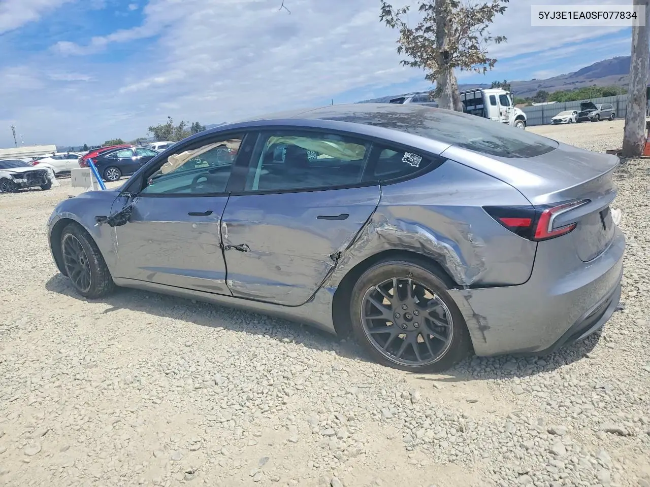 2025 Tesla Model 3 VIN: 5YJ3E1EA0SF077834 Lot: 61446086