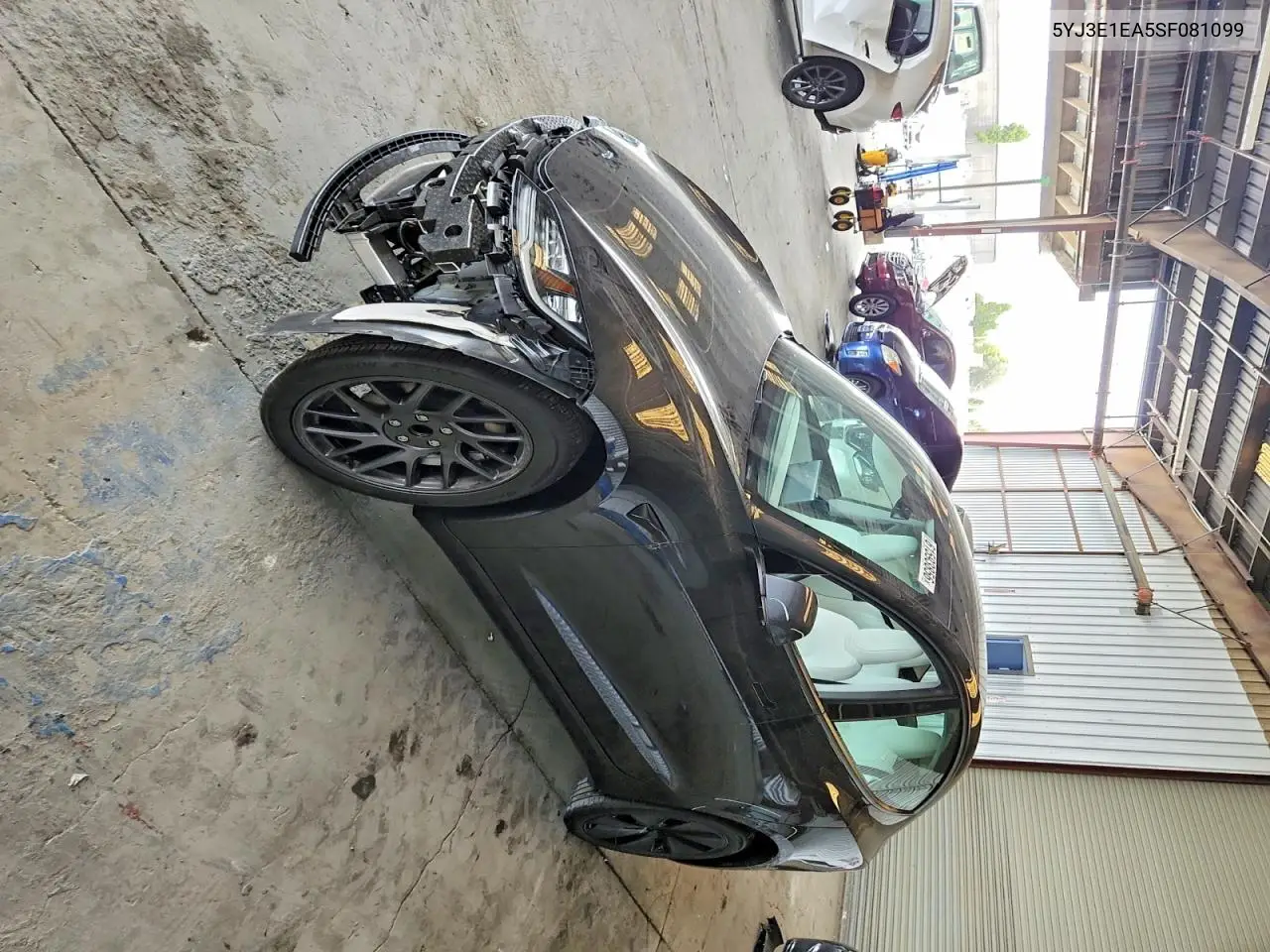 2025 Tesla Model 3 VIN: 5YJ3E1EA5SF081099 Lot: 61593856