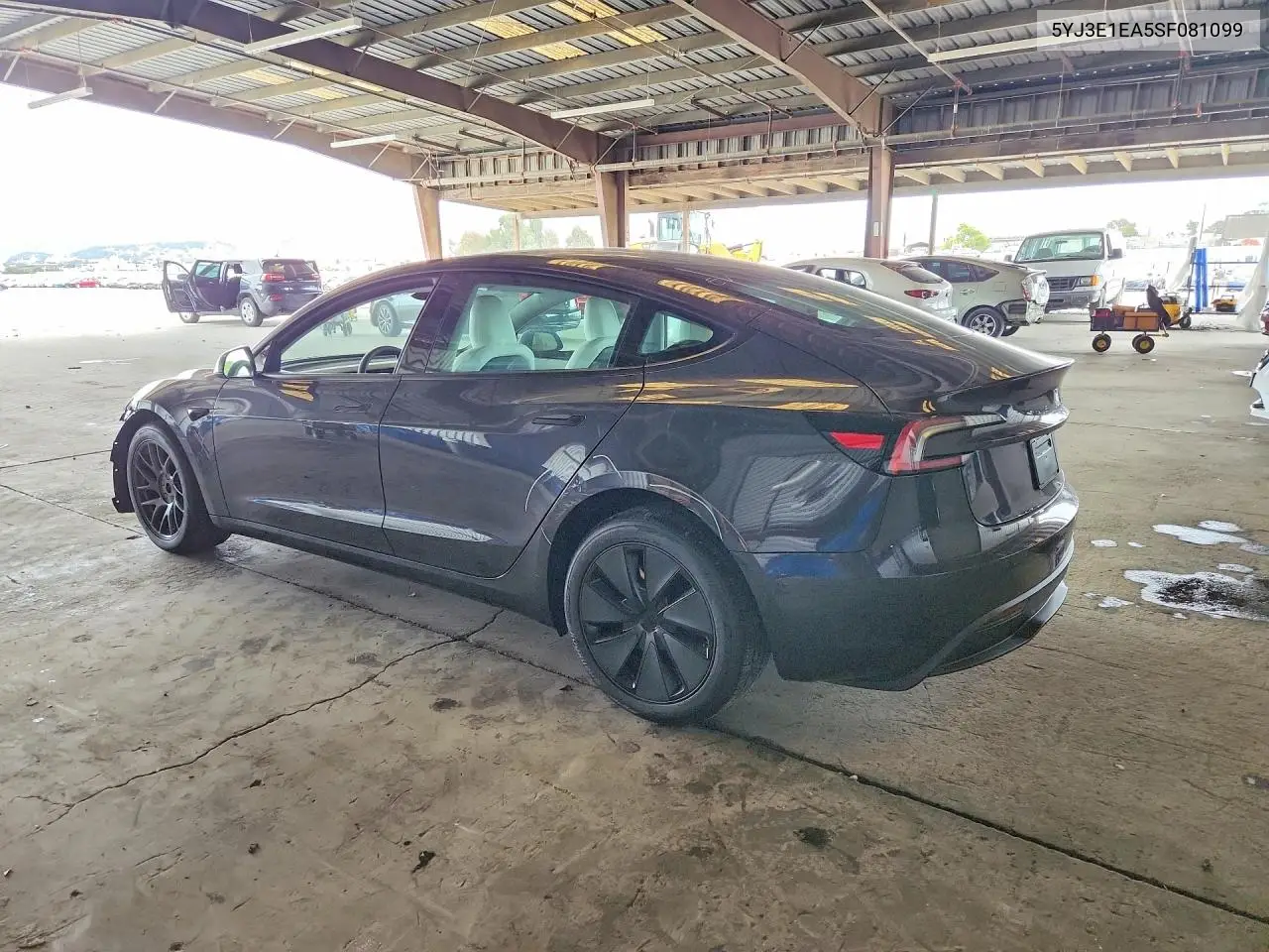 2025 Tesla Model 3 VIN: 5YJ3E1EA5SF081099 Lot: 61593856