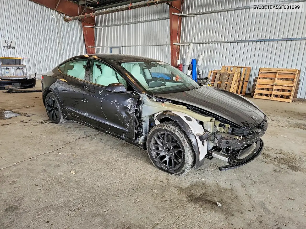 2025 Tesla Model 3 VIN: 5YJ3E1EA5SF081099 Lot: 61593856