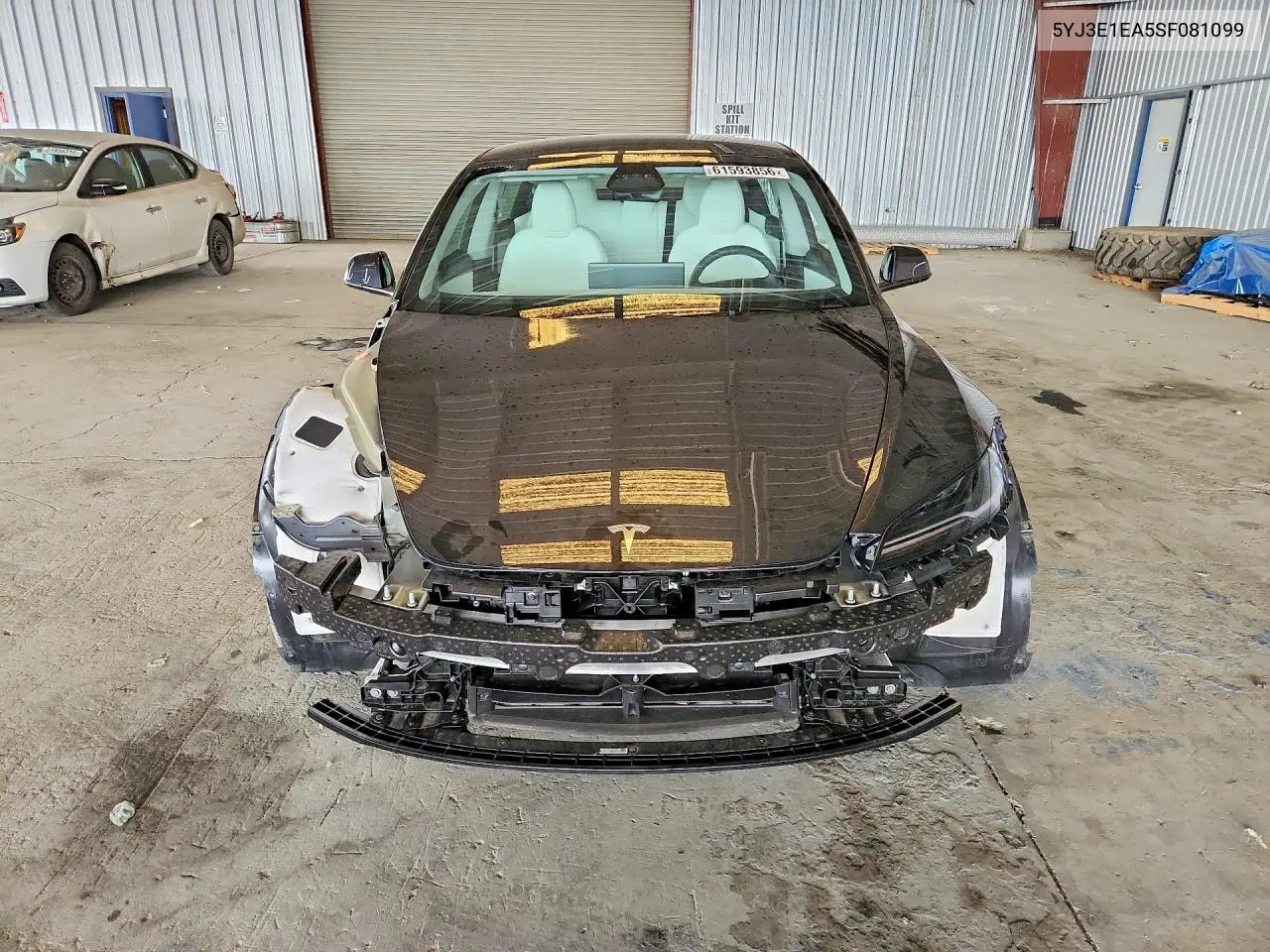2025 Tesla Model 3 VIN: 5YJ3E1EA5SF081099 Lot: 61593856