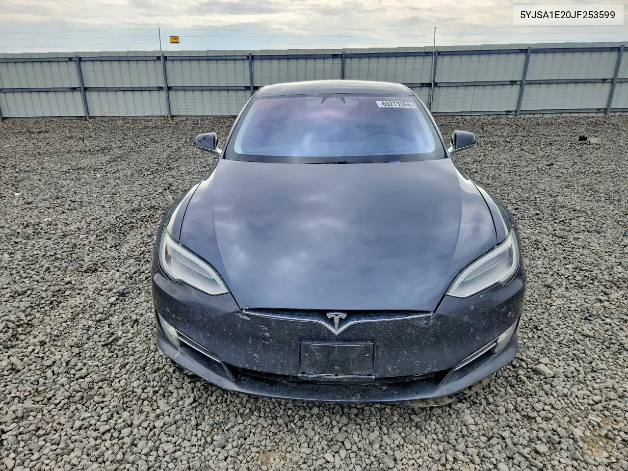 2018 Tesla Model S VIN: 5YJSA1E20JF253599 Lot: 60273966