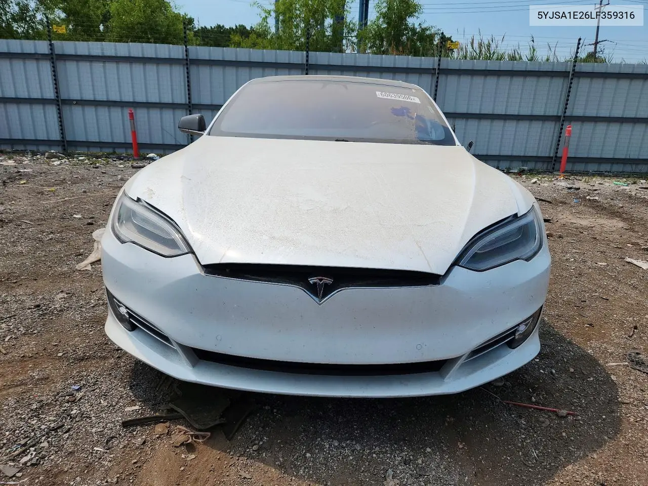 2020 Tesla Model S VIN: 5YJSA1E26LF359316 Lot: 60639506
