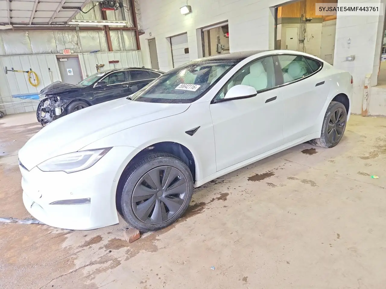 2021 Tesla Model S VIN: 5YJSA1E54MF443761 Lot: 56642116