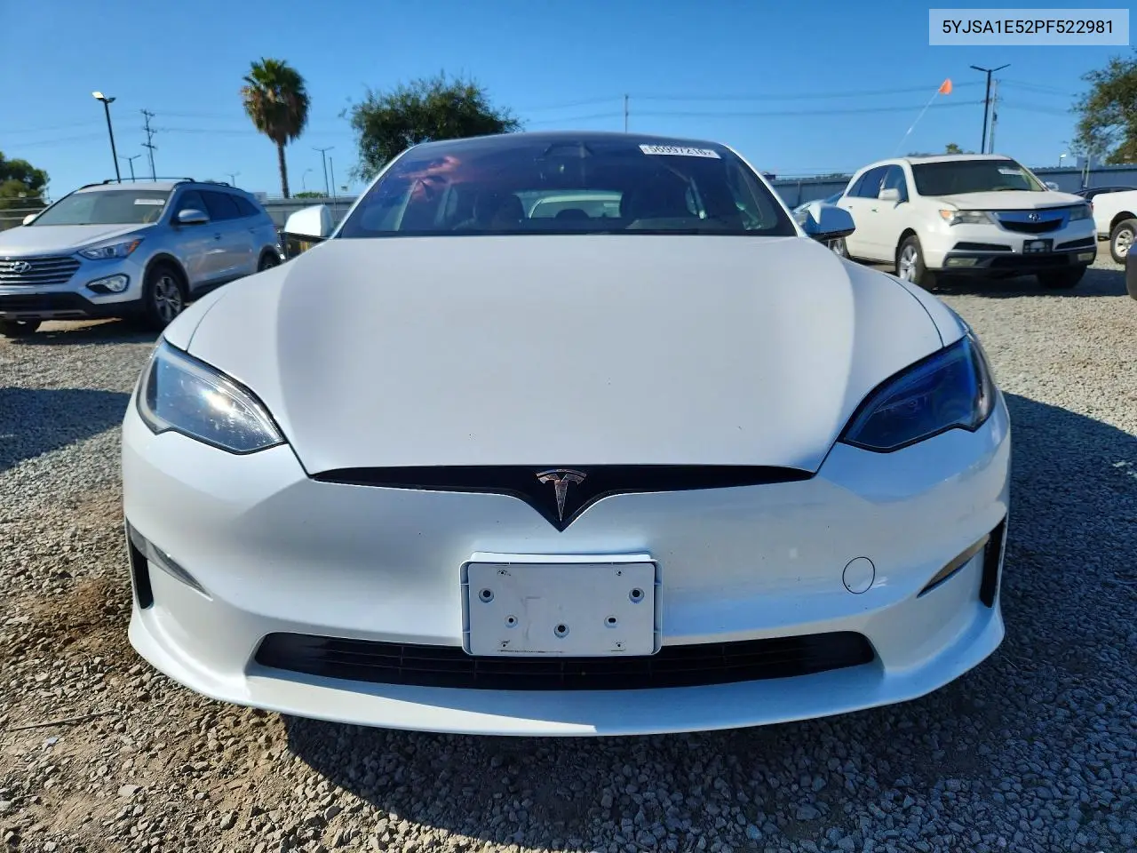2023 Tesla Model S VIN: 5YJSA1E52PF522981 Lot: 56997216