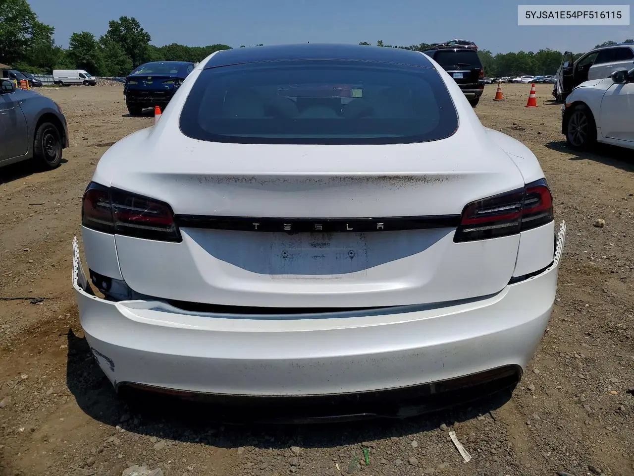 2023 Tesla Model S VIN: 5YJSA1E54PF516115 Lot: 59117756