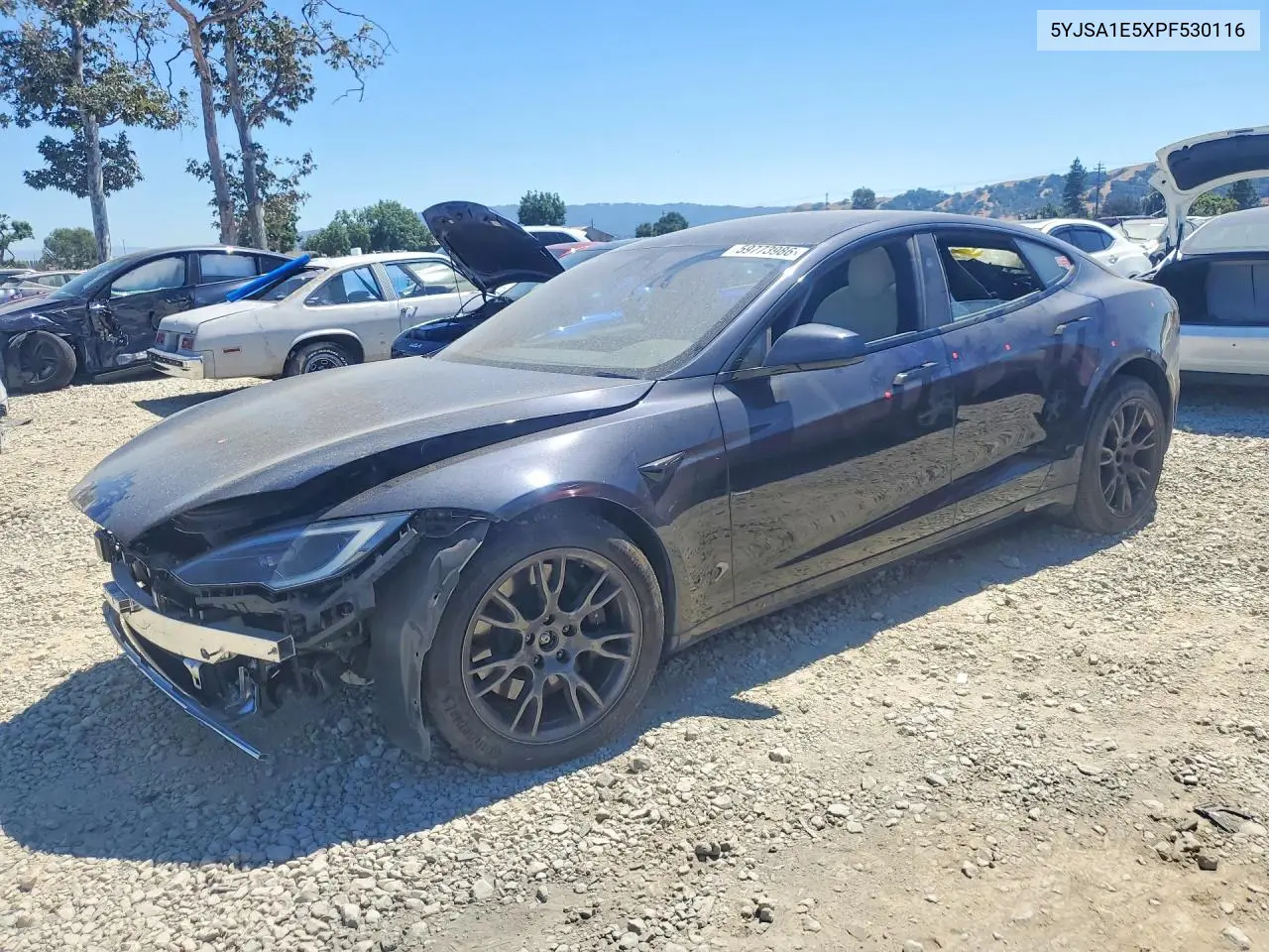 2023 Tesla Model S VIN: 5YJSA1E5XPF530116 Lot: 59773986