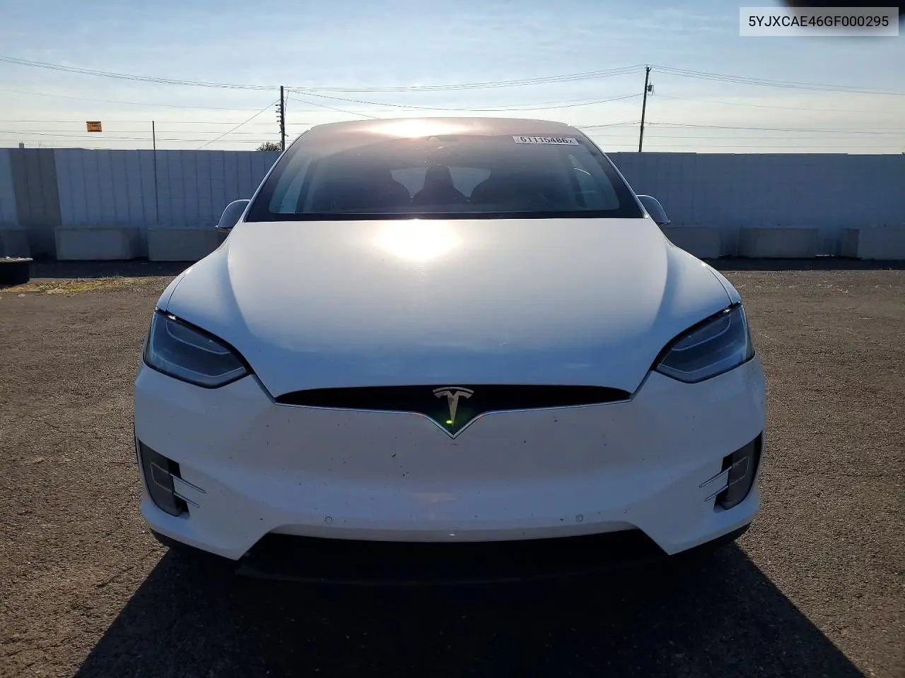 2016 Tesla Model X VIN: 5YJXCAE46GF000295 Lot: 61115486