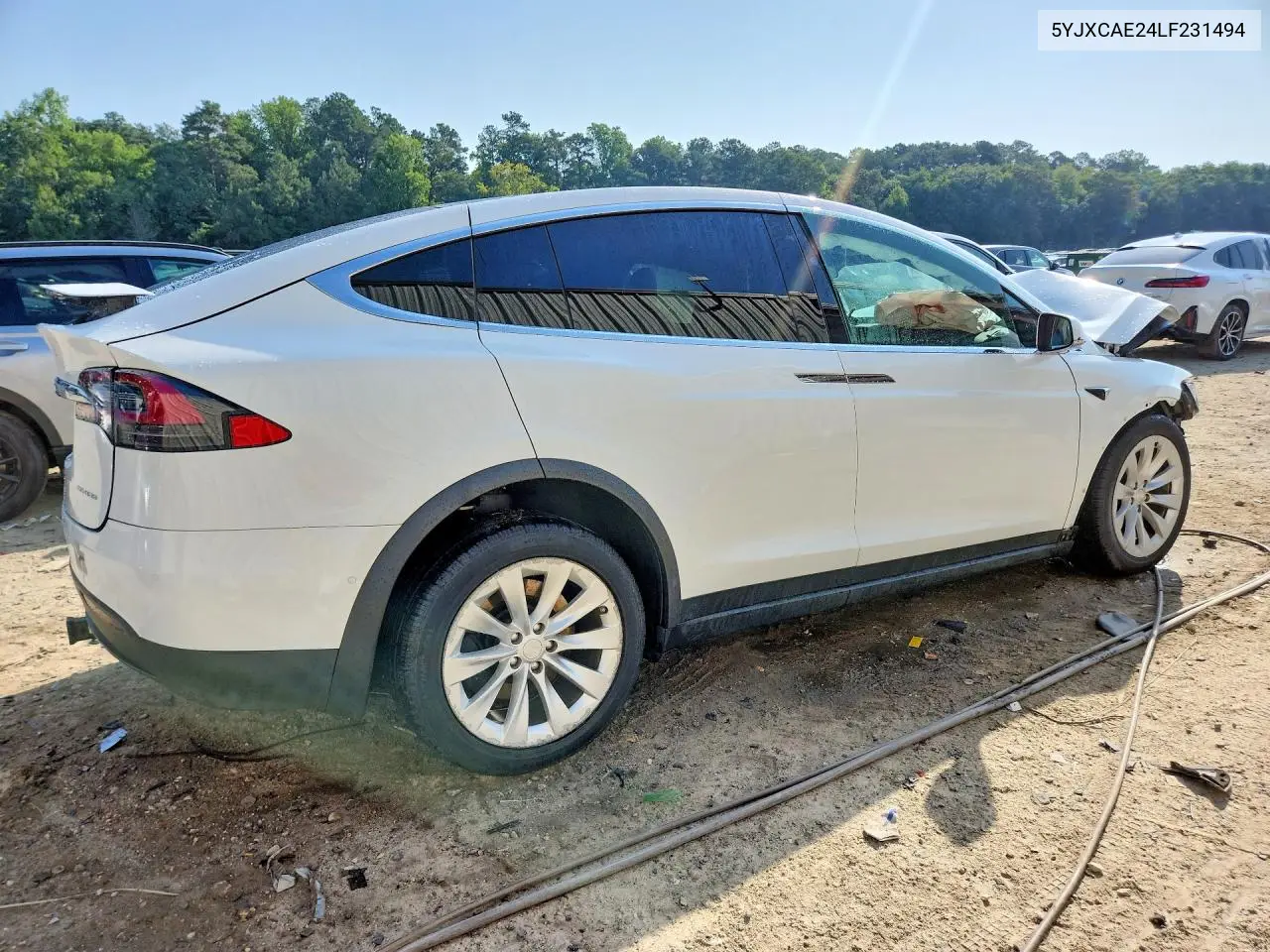 2020 Tesla Model X VIN: 5YJXCAE24LF231494 Lot: 59246846