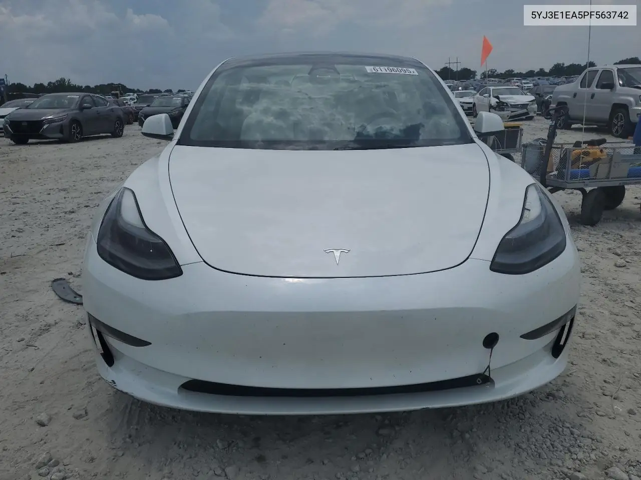 Model X