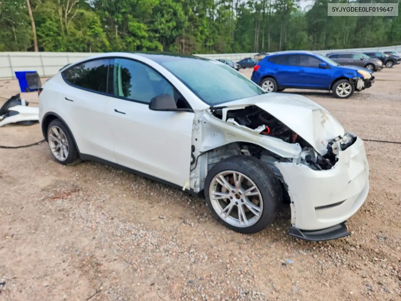 2020 Tesla Model Y VIN: 5YJYGDEE0LF019647 Lot: 59353936