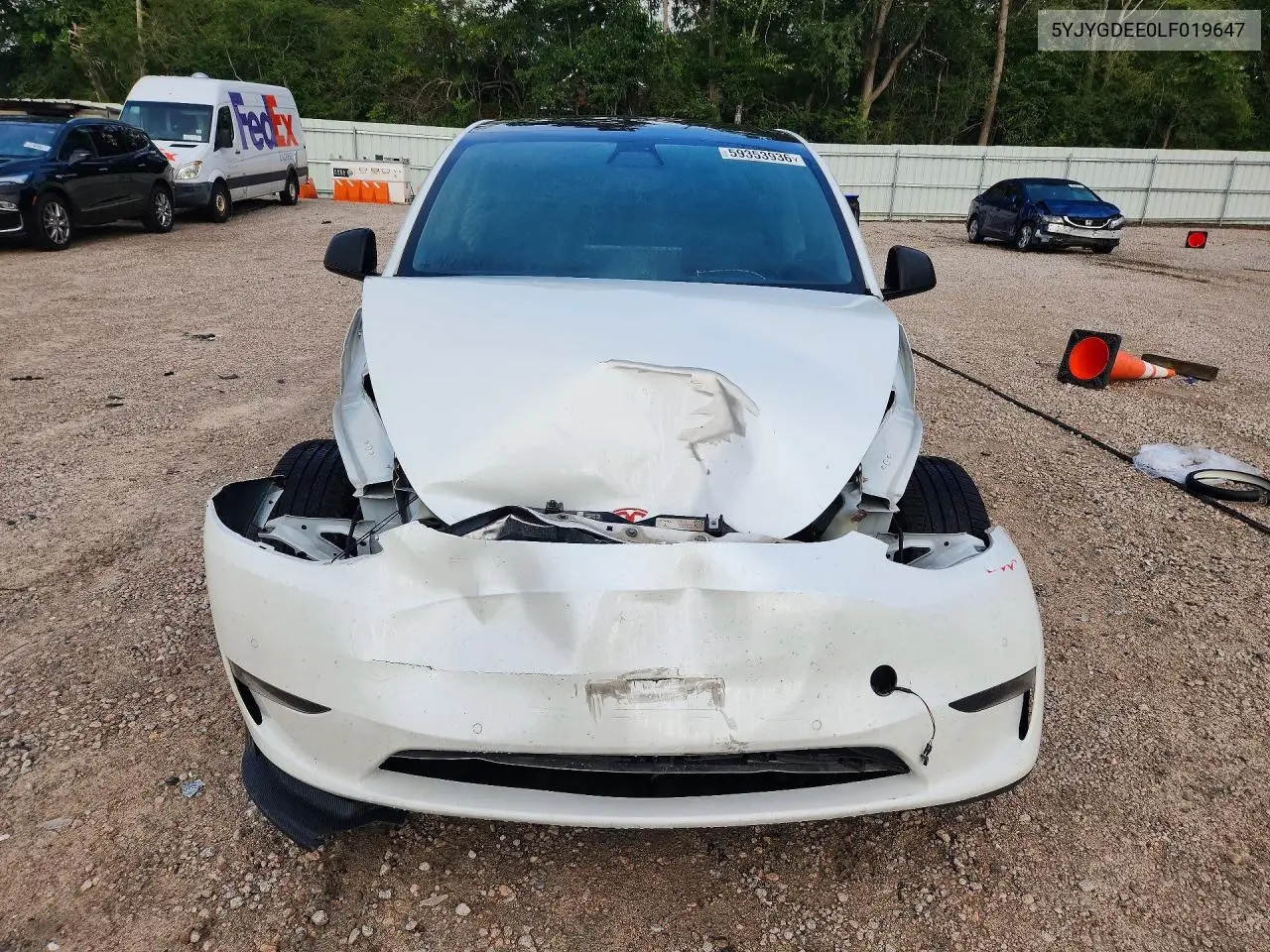 2020 Tesla Model Y VIN: 5YJYGDEE0LF019647 Lot: 59353936