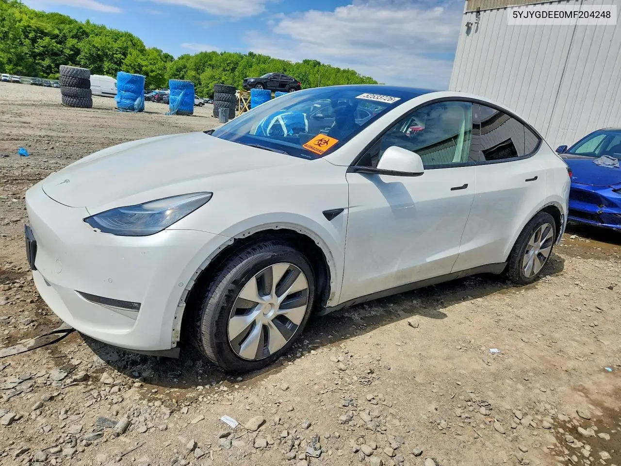 2021 Tesla Model Y VIN: 5YJYGDEE0MF204248 Lot: 52533726