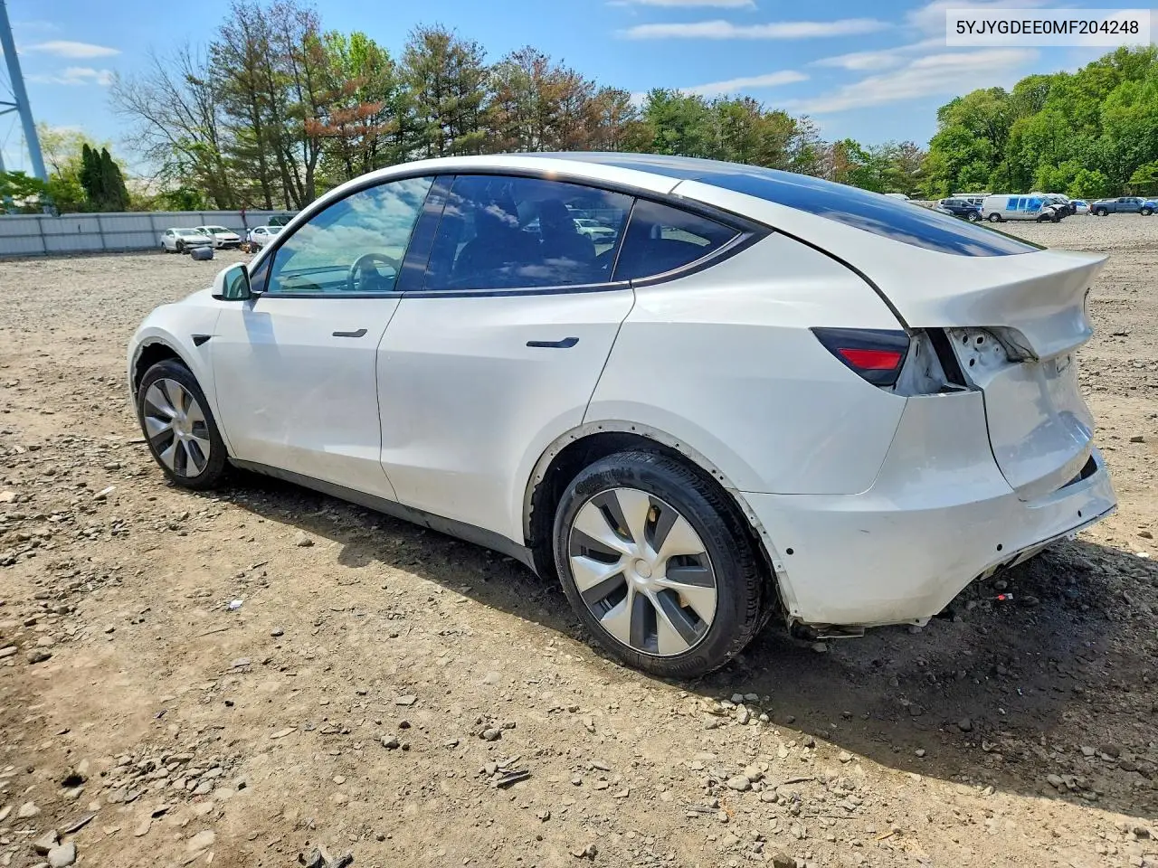 2021 Tesla Model Y VIN: 5YJYGDEE0MF204248 Lot: 52533726