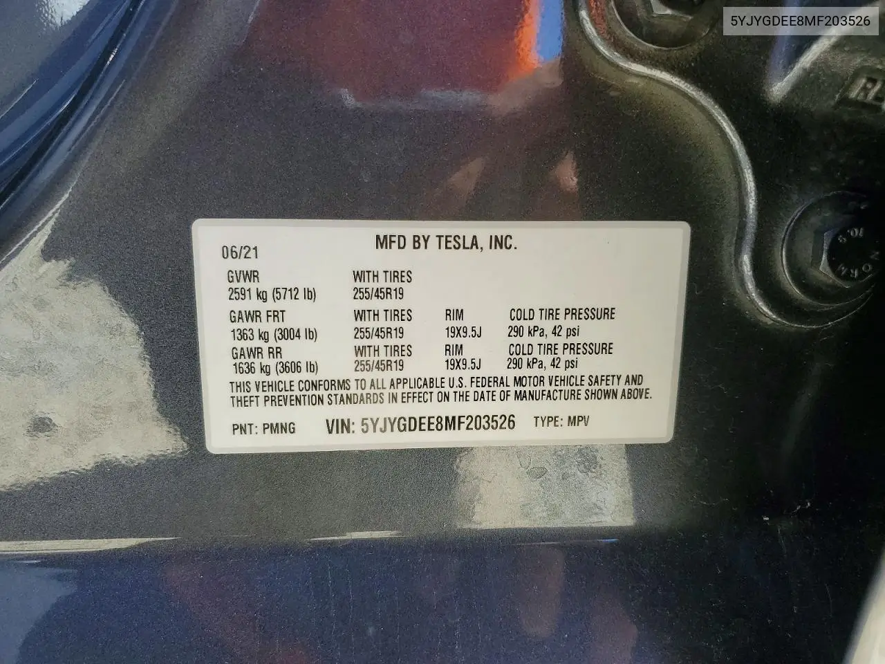 2021 Tesla Model Y VIN: 5YJYGDEE8MF203526 Lot: 55820746