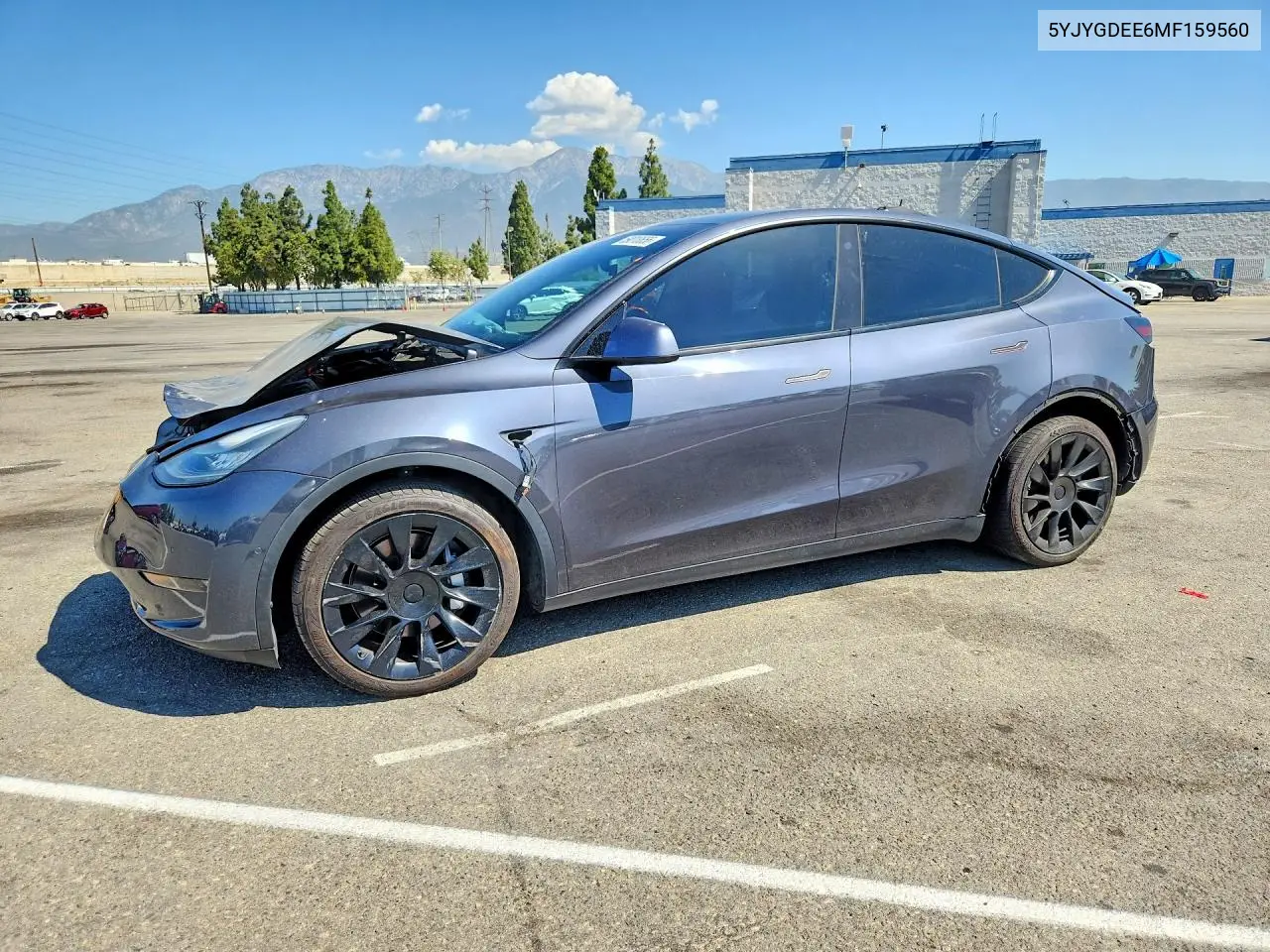 2021 Tesla Model Y VIN: 5YJYGDEE6MF159560 Lot: 59013656