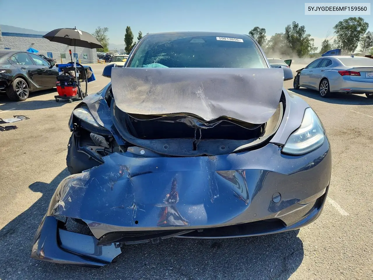 2021 Tesla Model Y VIN: 5YJYGDEE6MF159560 Lot: 59013656
