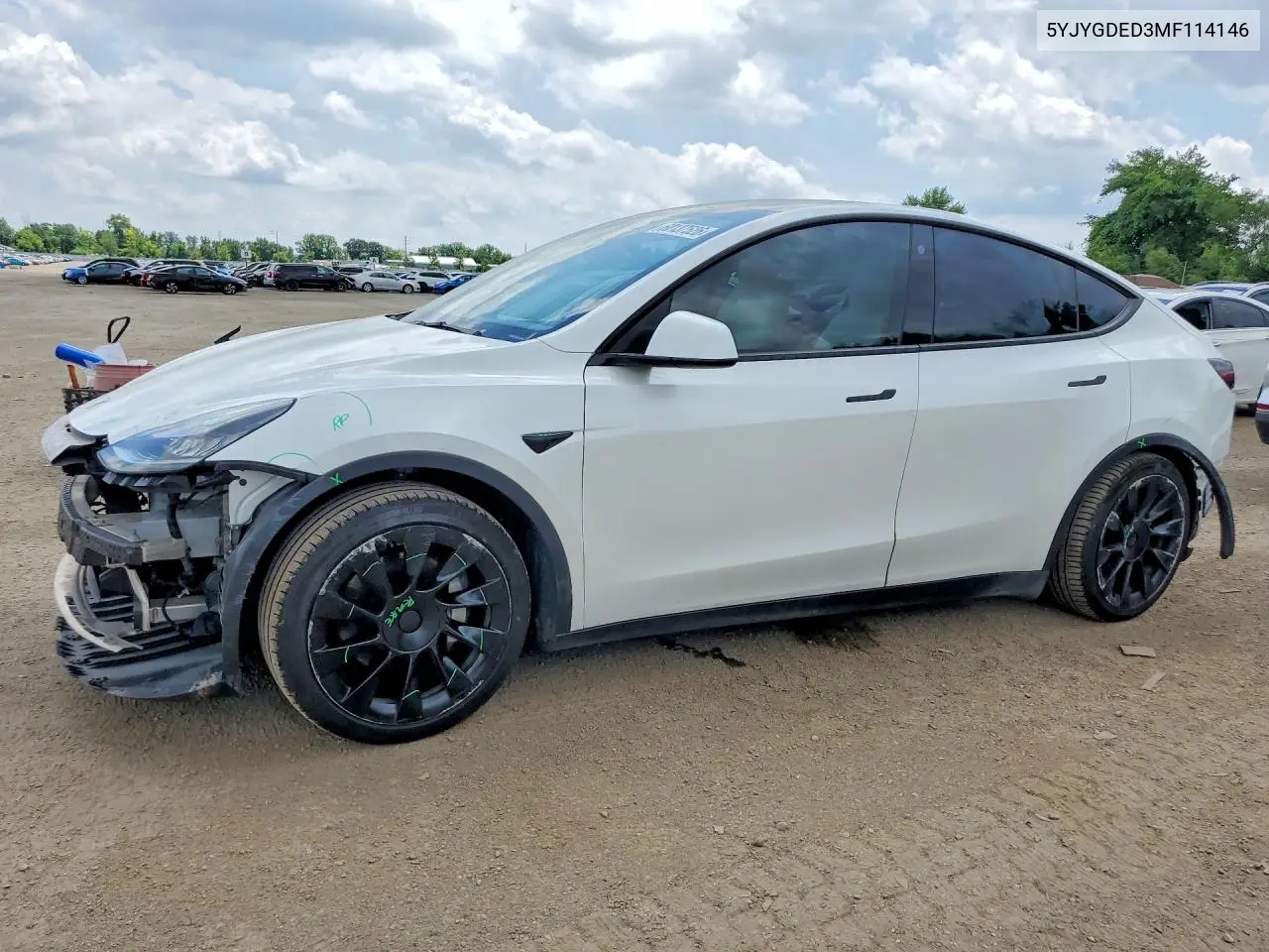 2021 Tesla Model Y VIN: 5YJYGDED3MF114146 Lot: 60137526