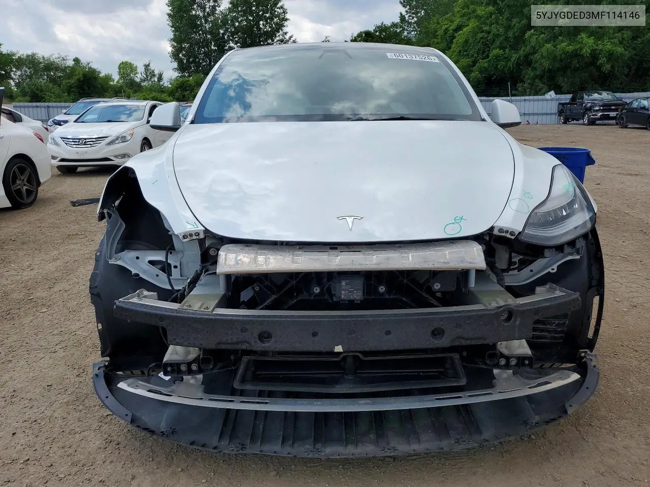 2021 Tesla Model Y VIN: 5YJYGDED3MF114146 Lot: 60137526