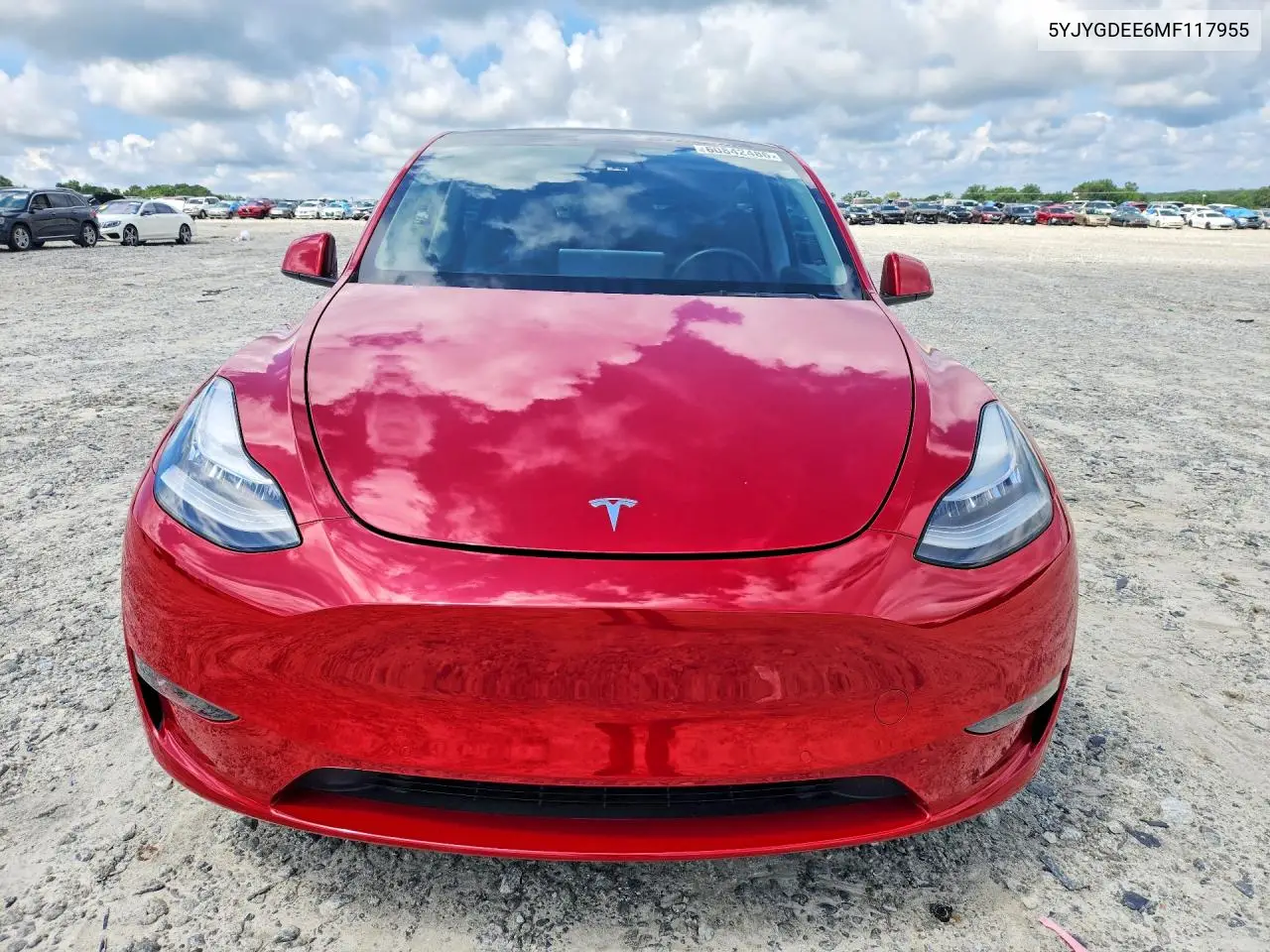 2021 Tesla Model Y VIN: 5YJYGDEE6MF117955 Lot: 60842486