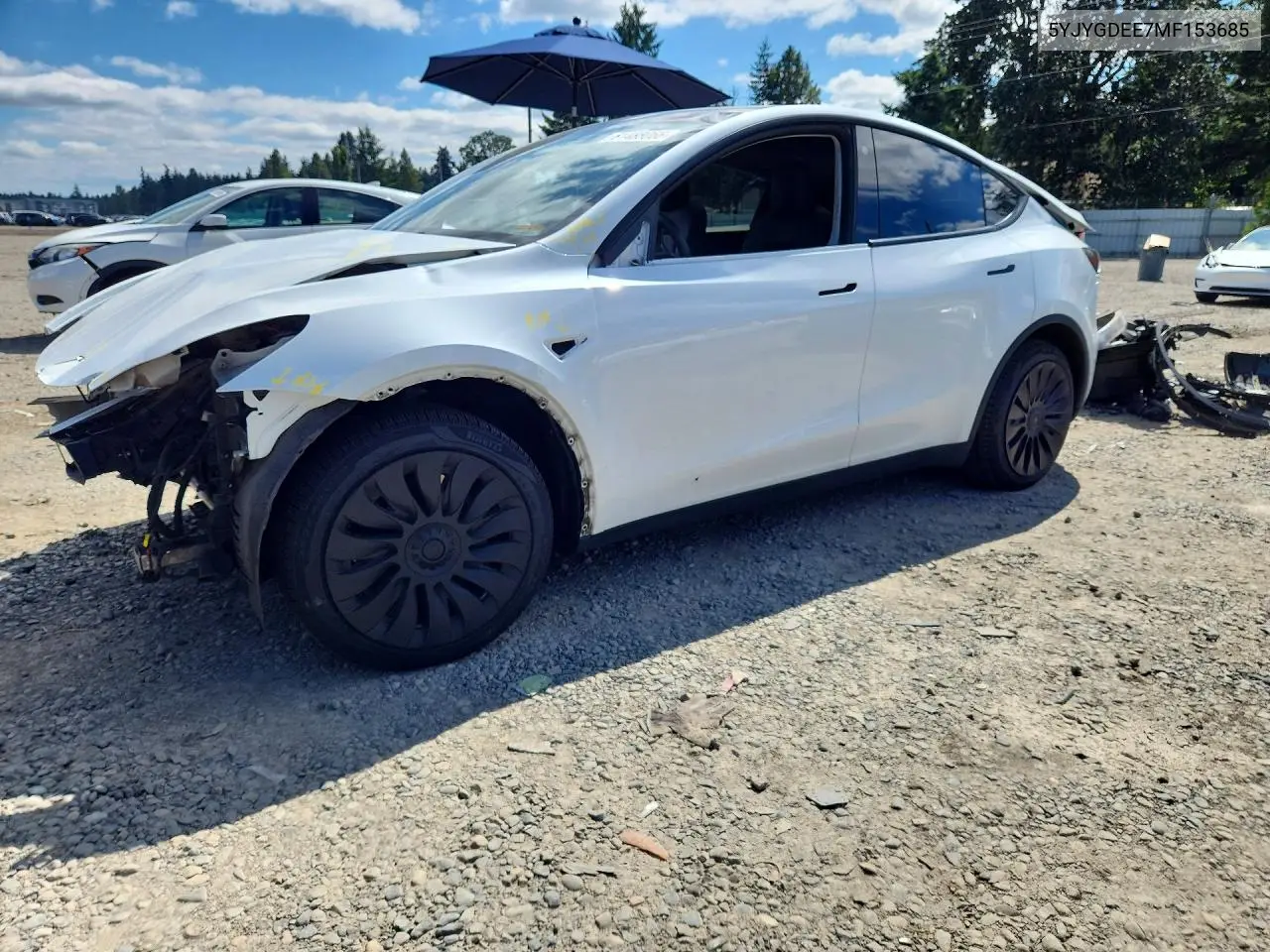 2021 Tesla Model Y VIN: 5YJYGDEE7MF153685 Lot: 61488066