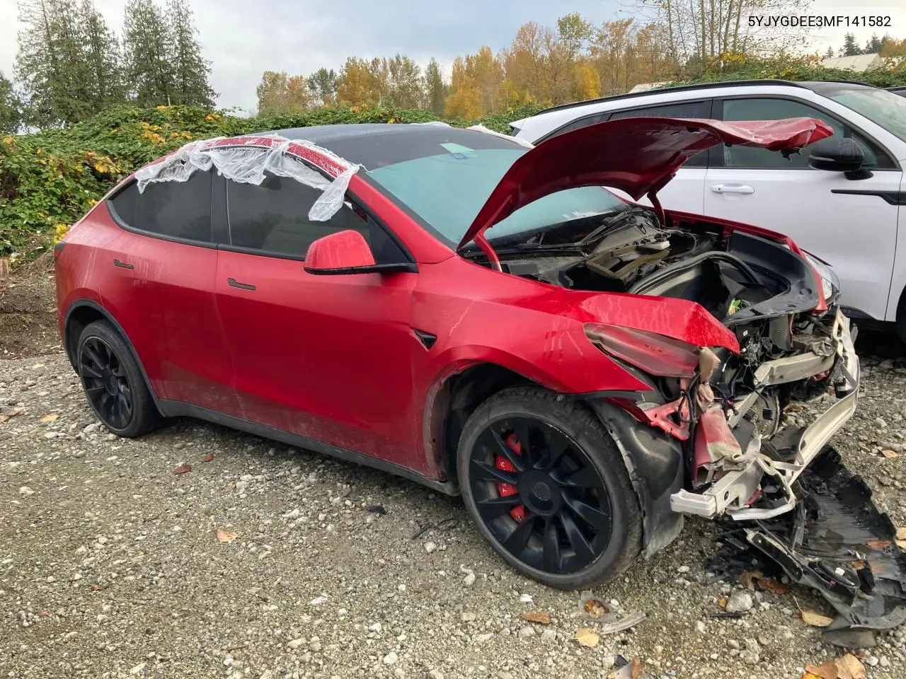 5YJYGDEE3MF141582 2021 Tesla Model Y