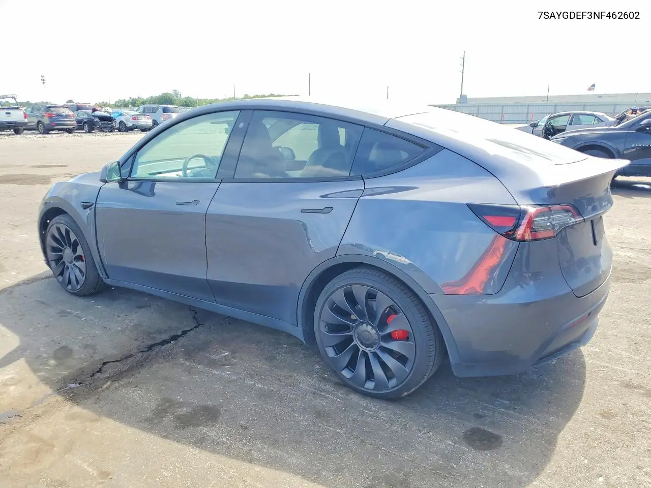 2022 Tesla Model Y VIN: 7SAYGDEF3NF462602 Lot: 55789436