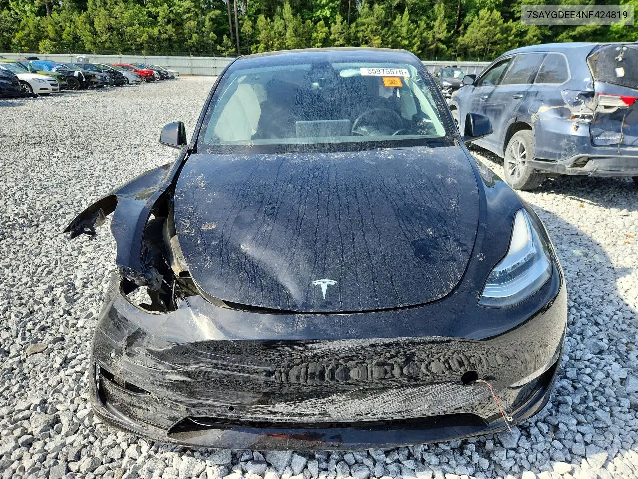 2022 Tesla Model Y VIN: 7SAYGDEE4NF424819 Lot: 55975576