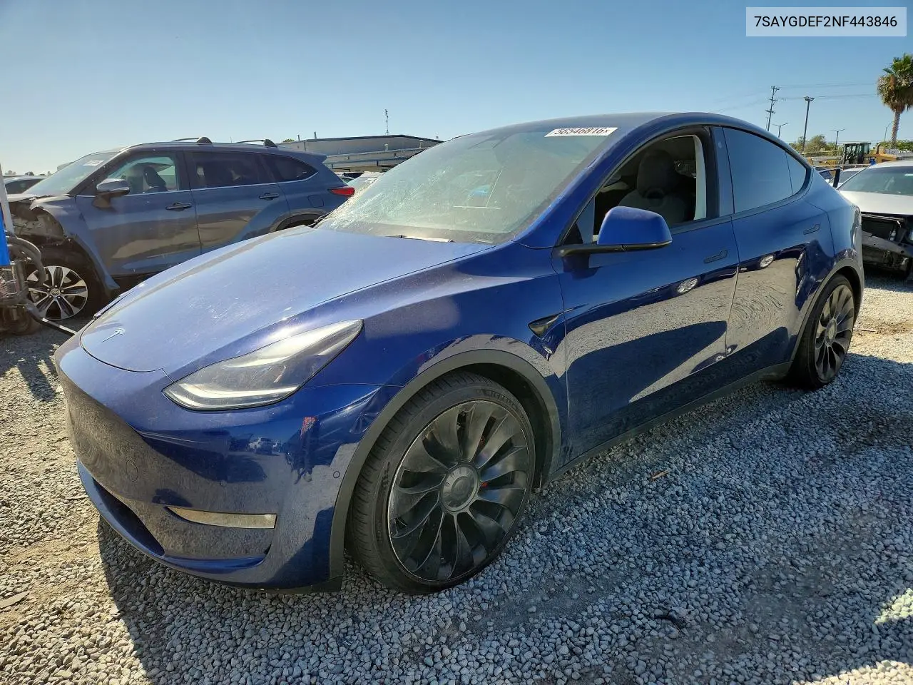 2022 Tesla Model Y VIN: 7SAYGDEF2NF443846 Lot: 56546816