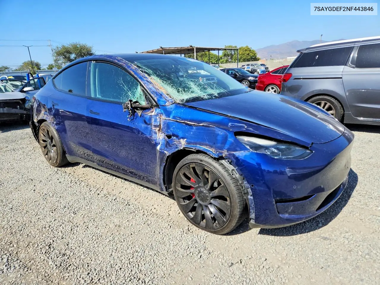 2022 Tesla Model Y VIN: 7SAYGDEF2NF443846 Lot: 56546816