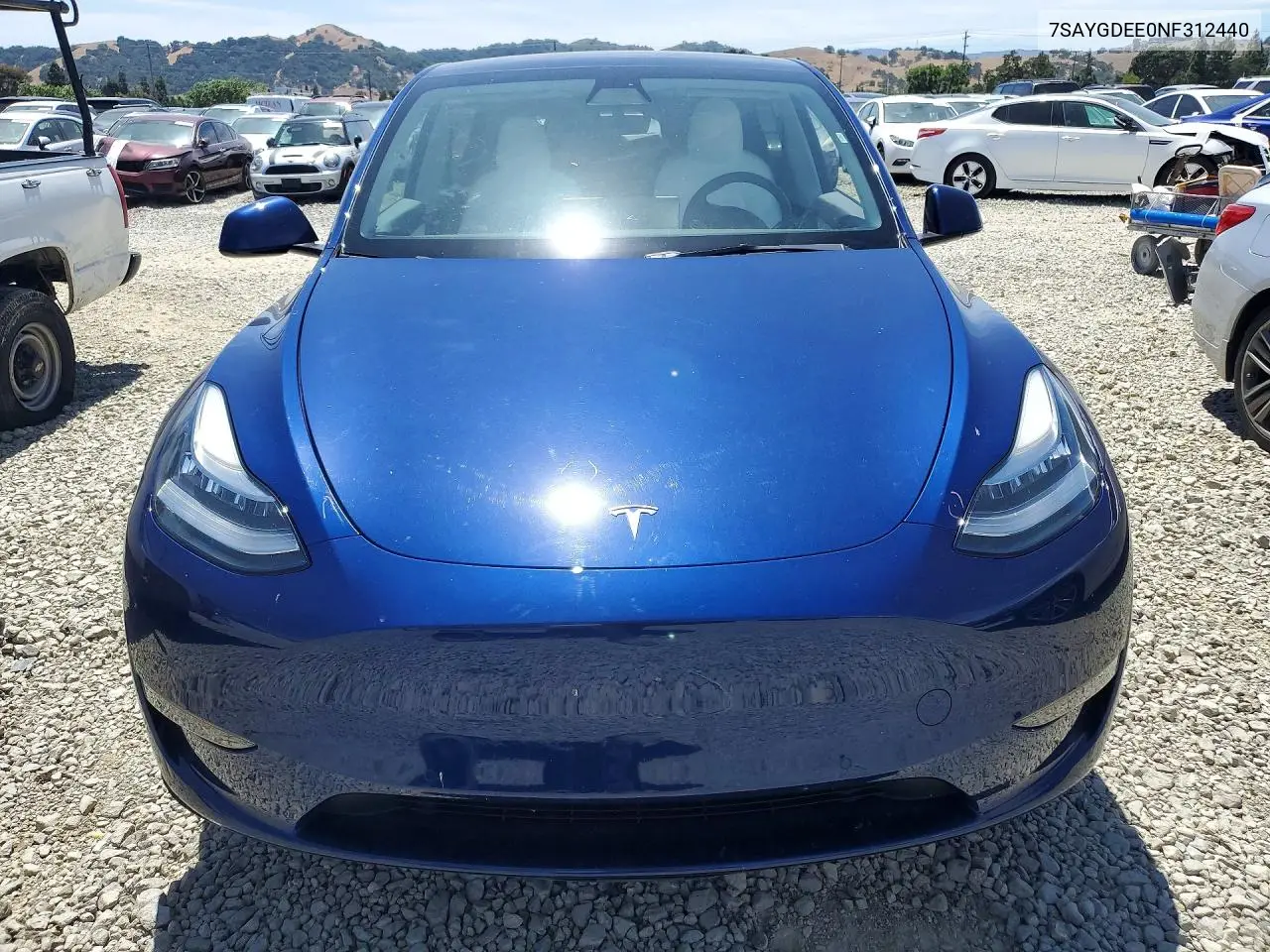 2022 Tesla Model Y VIN: 7SAYGDEE0NF312440 Lot: 56671236