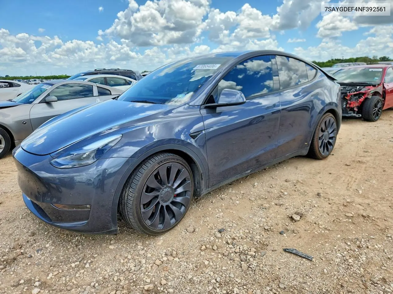2022 Tesla Model Y VIN: 7SAYGDEF4NF392561 Lot: 57065406