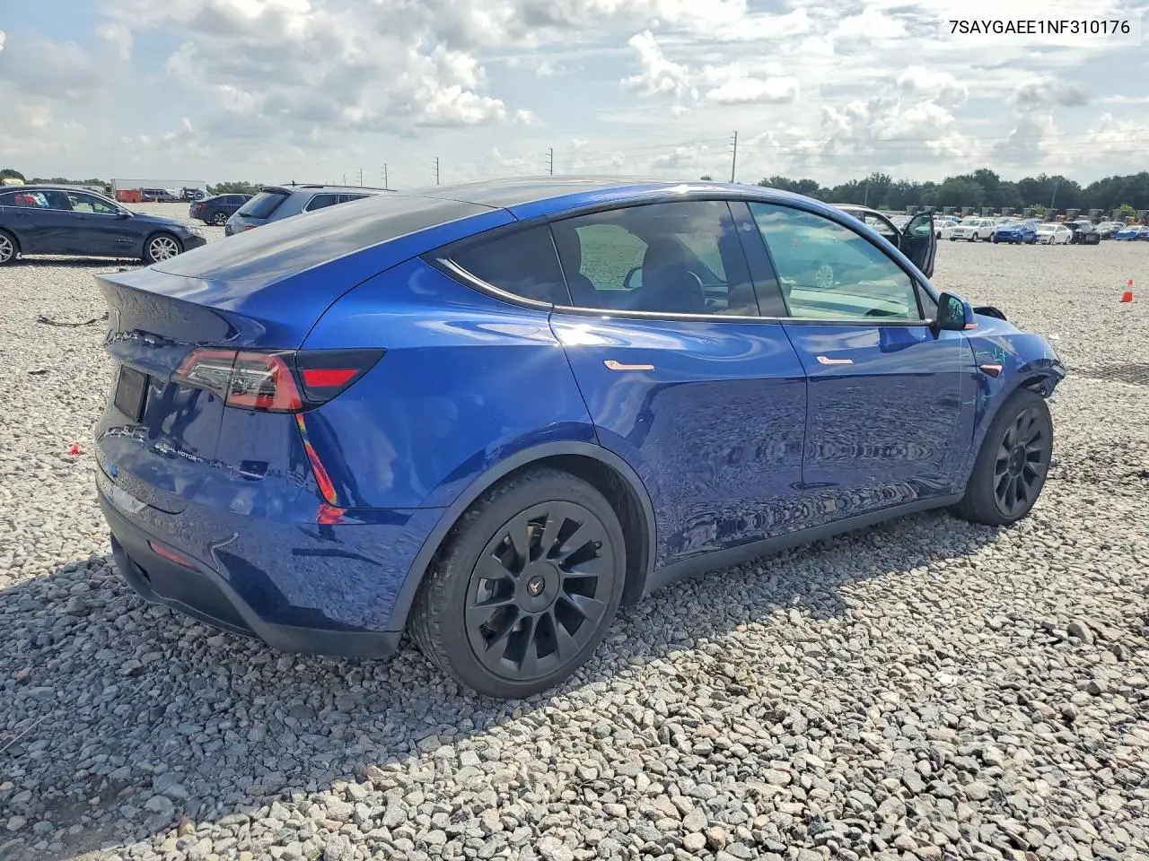 2022 Tesla Model Y VIN: 7SAYGAEE1NF310176 Lot: 58073676