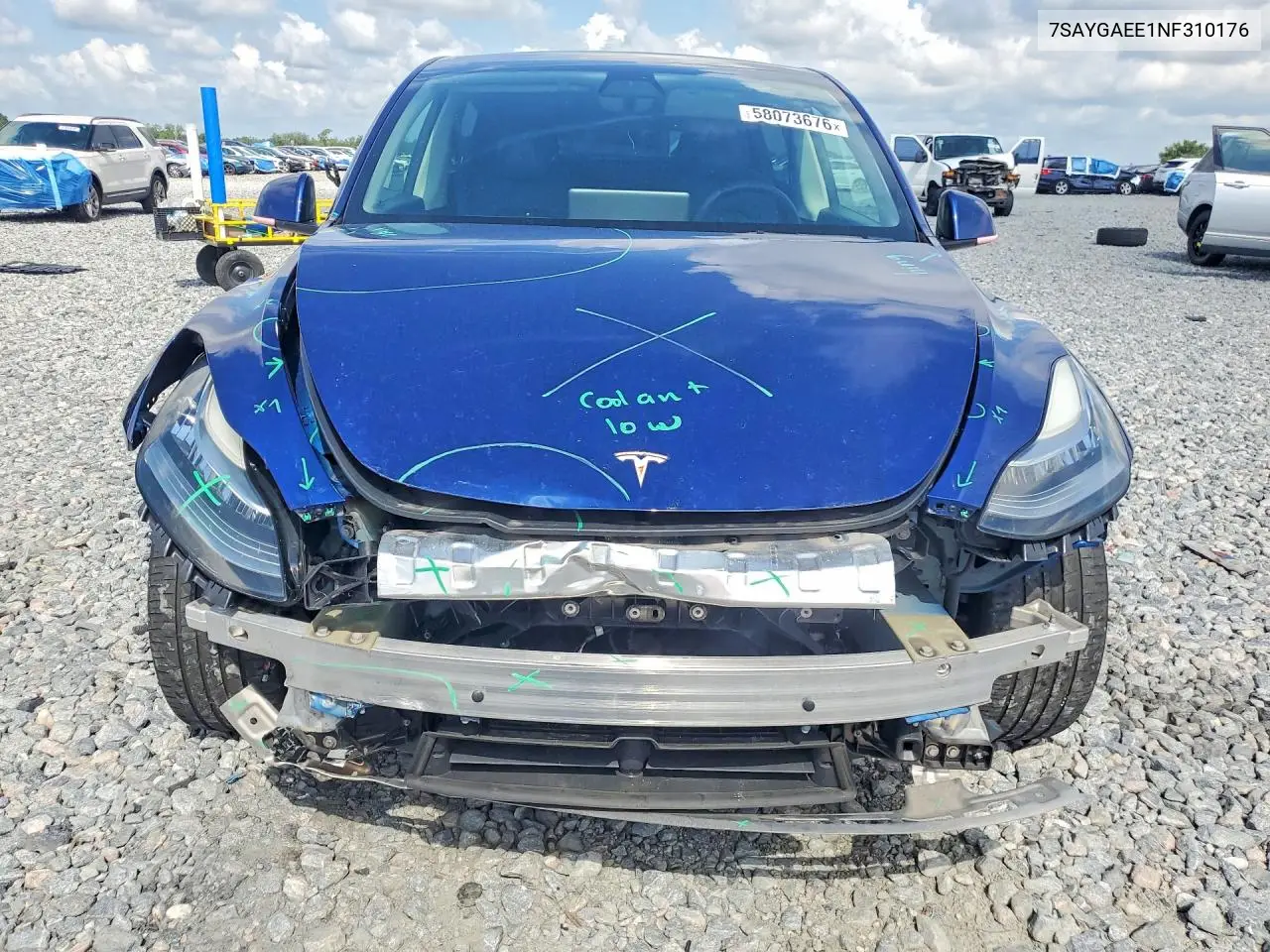 2022 Tesla Model Y VIN: 7SAYGAEE1NF310176 Lot: 58073676