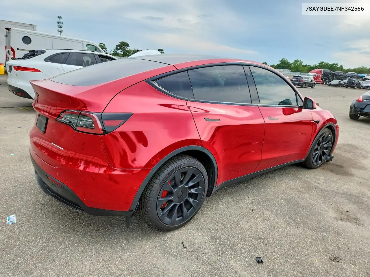 2022 Tesla Model Y VIN: 7SAYGDEE7NF342566 Lot: 59725976