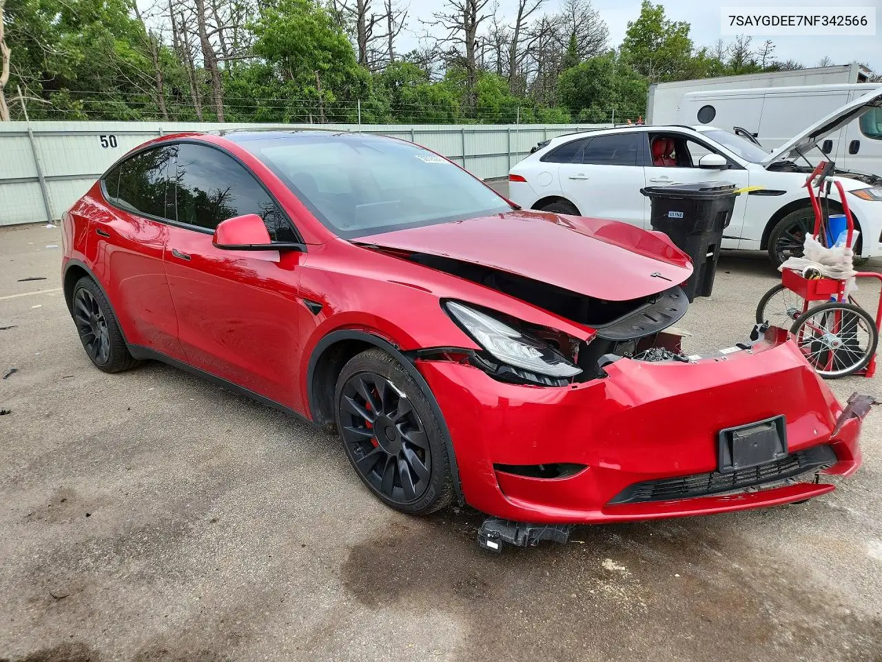 2022 Tesla Model Y VIN: 7SAYGDEE7NF342566 Lot: 59725976