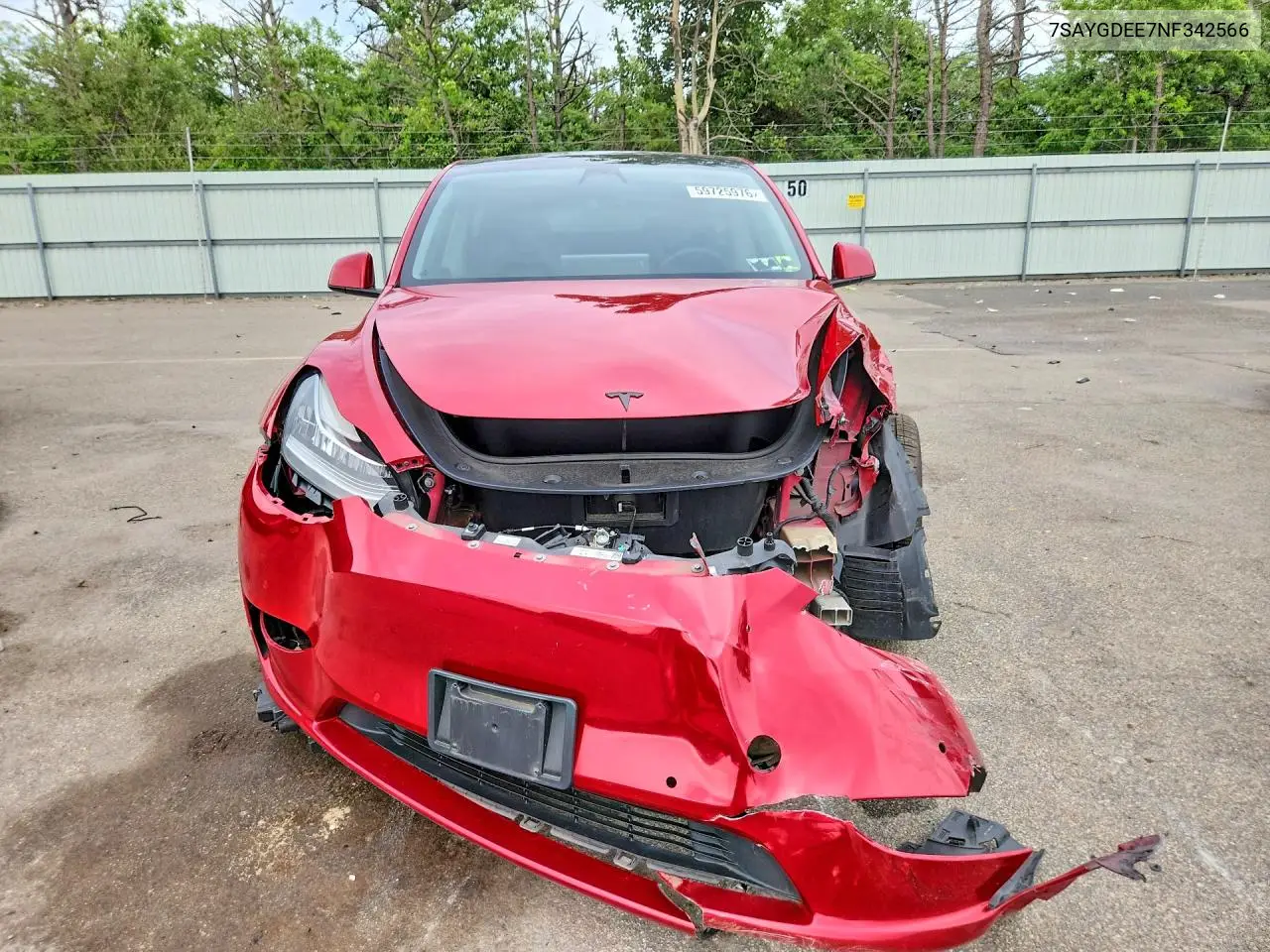 2022 Tesla Model Y VIN: 7SAYGDEE7NF342566 Lot: 59725976
