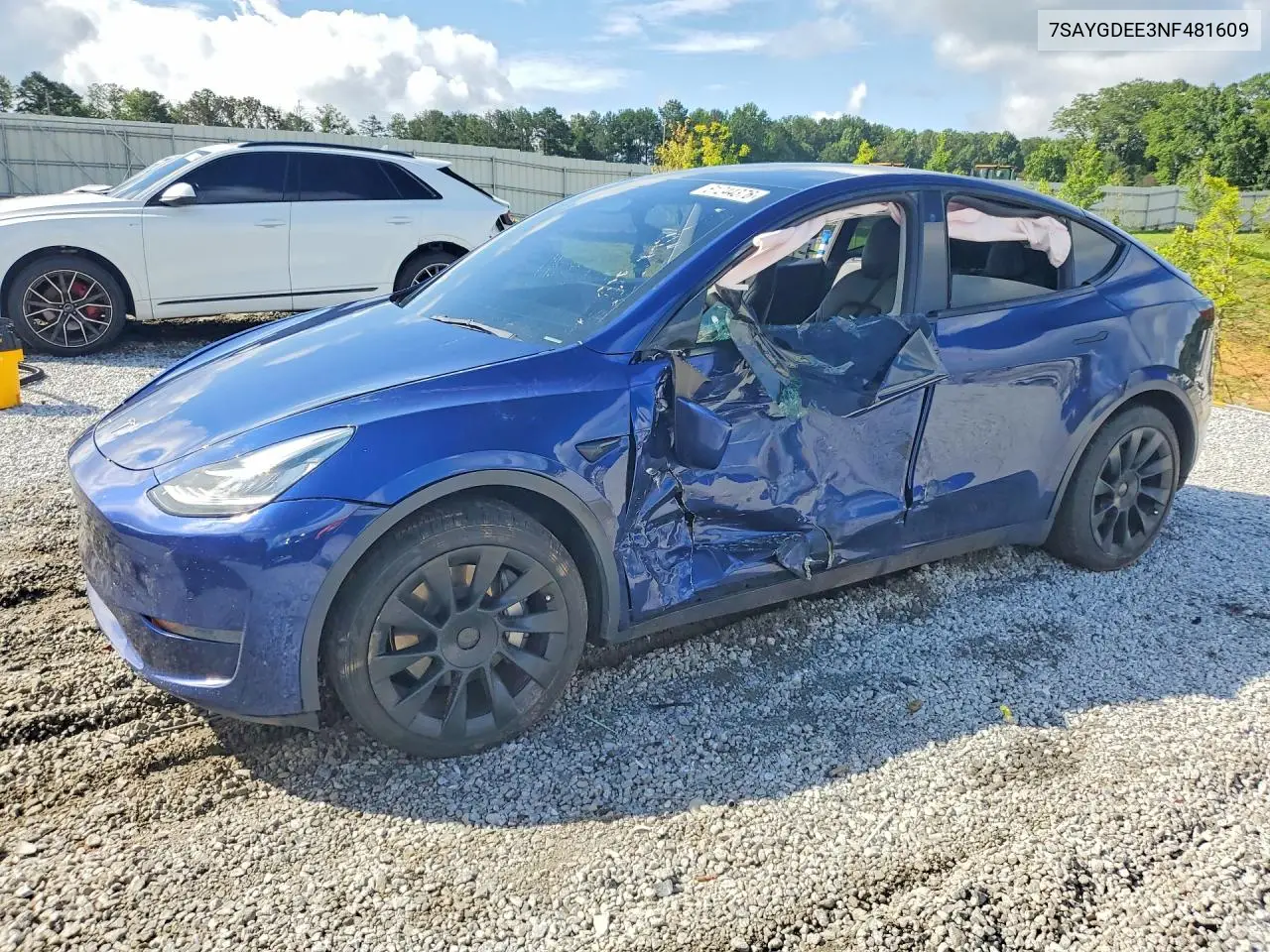 2022 Tesla Model Y VIN: 7SAYGDEE3NF481609 Lot: 61244376