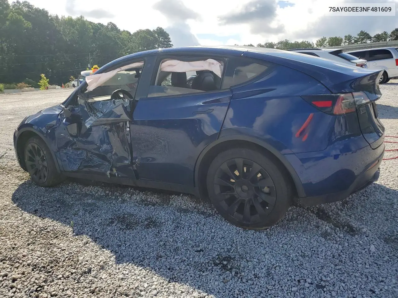 2022 Tesla Model Y VIN: 7SAYGDEE3NF481609 Lot: 61244376
