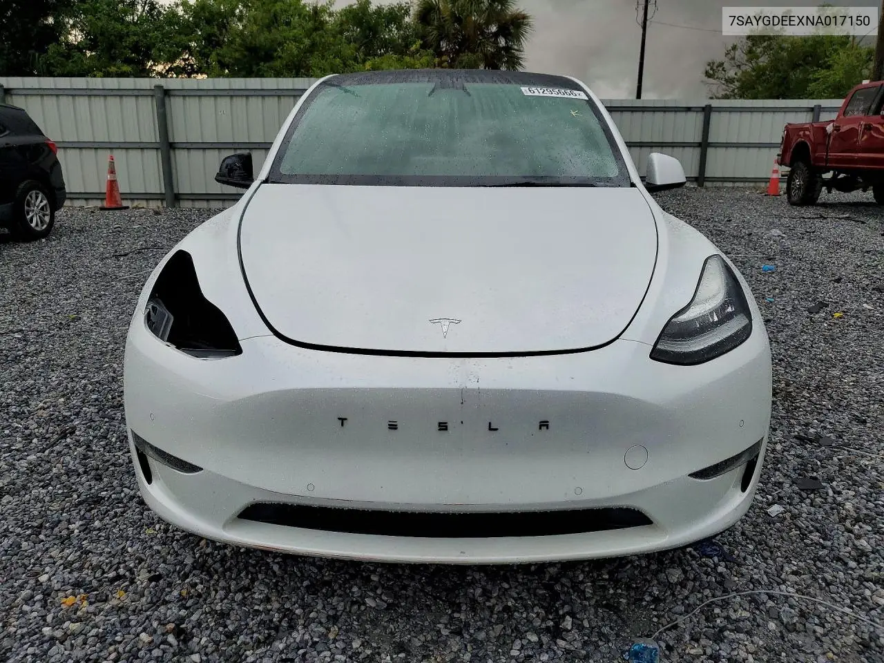 2022 Tesla Model Y VIN: 7SAYGDEEXNA017150 Lot: 61295666