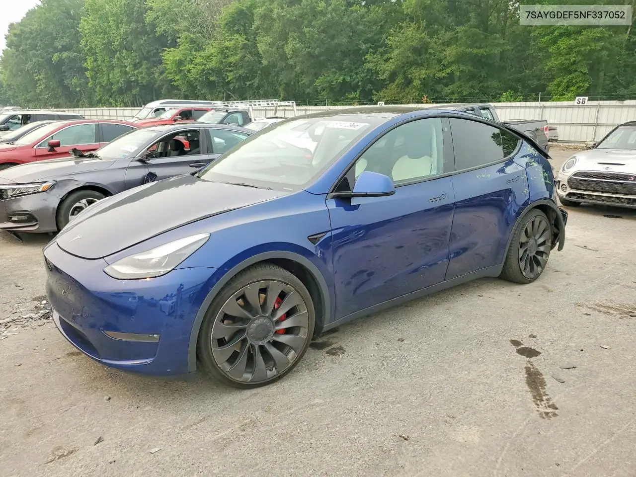 2022 Tesla Model Y VIN: 7SAYGDEF5NF337052 Lot: 61412966