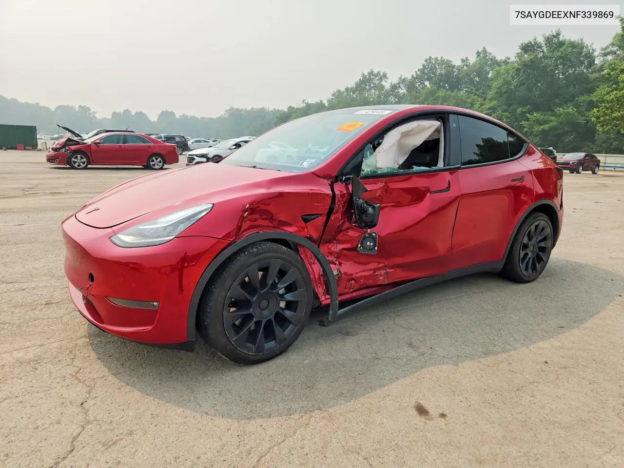 2022 Tesla Model Y VIN: 7SAYGDEEXNF339869 Lot: 61429046