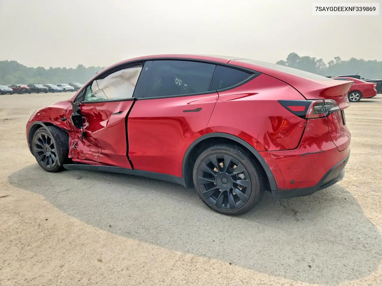 2022 Tesla Model Y VIN: 7SAYGDEEXNF339869 Lot: 61429046