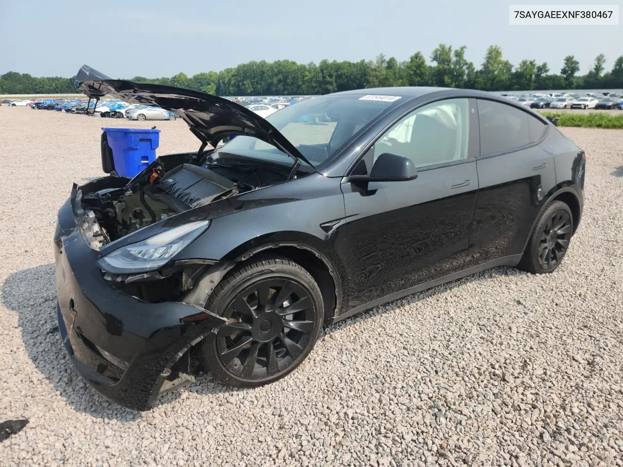 2022 Tesla Model Y VIN: 7SAYGAEEXNF380467 Lot: 61544816