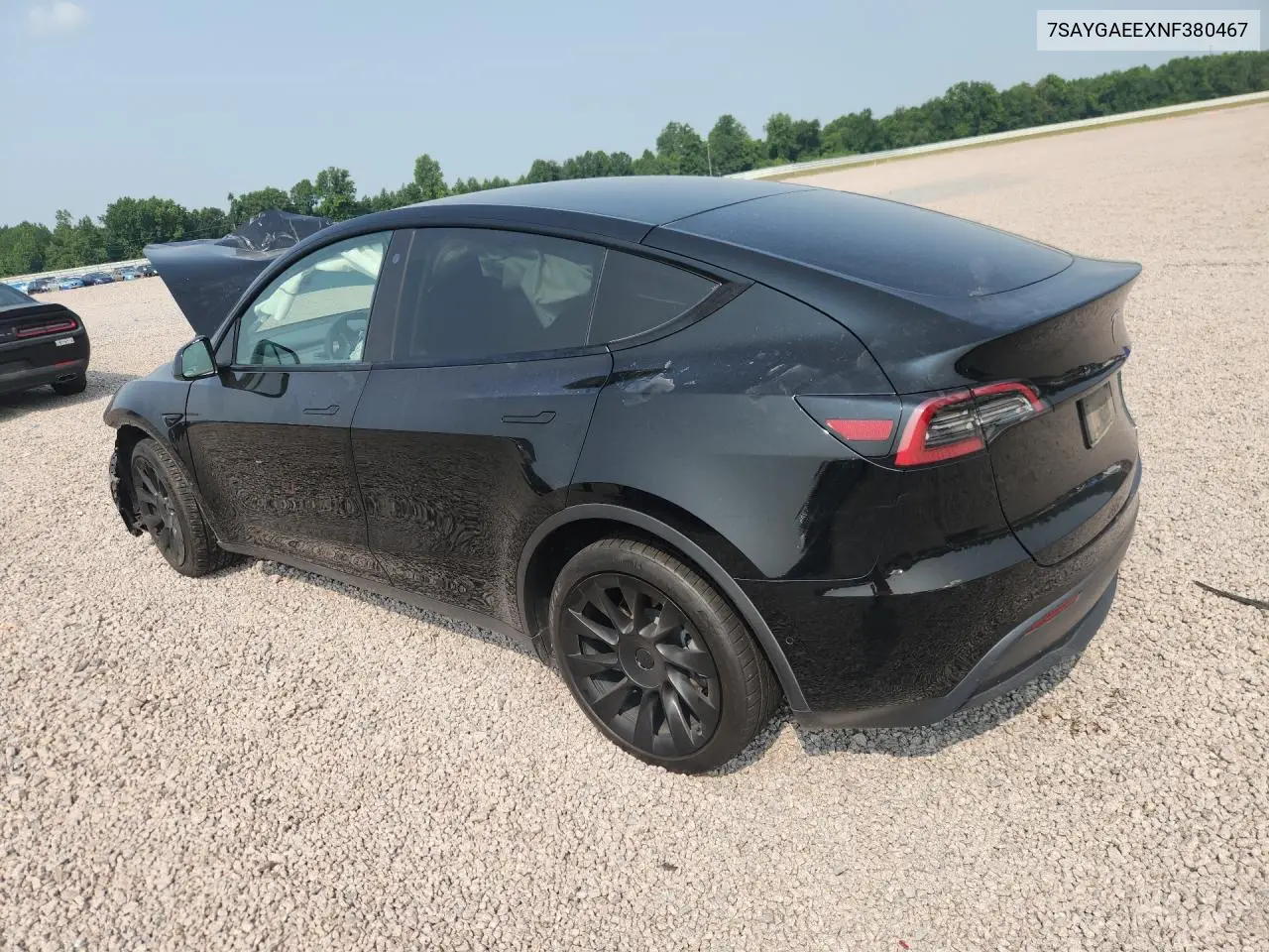 2022 Tesla Model Y VIN: 7SAYGAEEXNF380467 Lot: 61544816