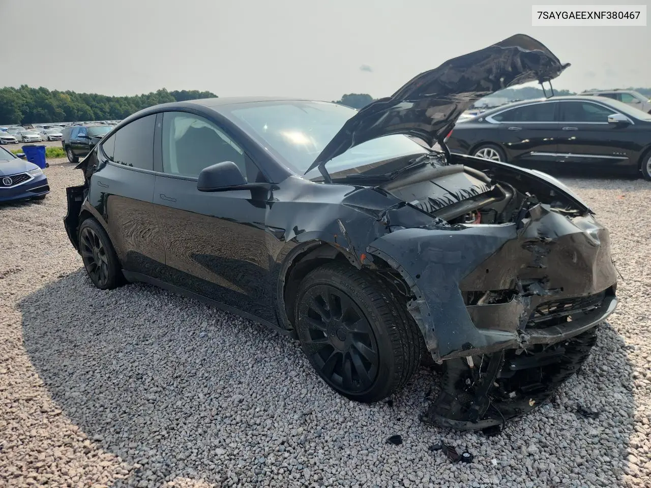 2022 Tesla Model Y VIN: 7SAYGAEEXNF380467 Lot: 61544816