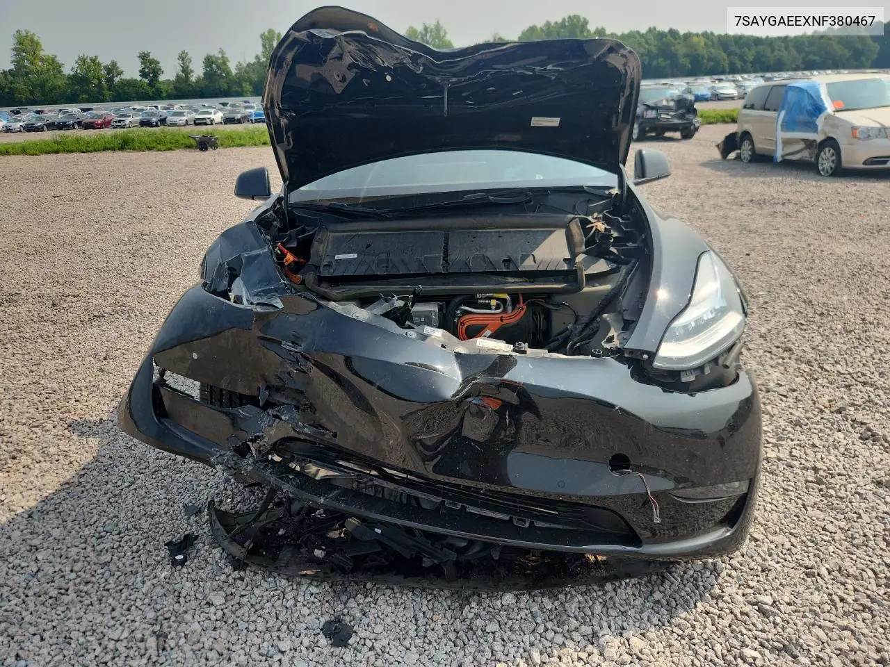 2022 Tesla Model Y VIN: 7SAYGAEEXNF380467 Lot: 61544816